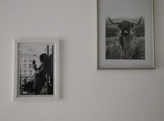 Apartamento Hommy Lab - Stylish And Modern With Super Kitchen, Separate Entrance, Free Parking *